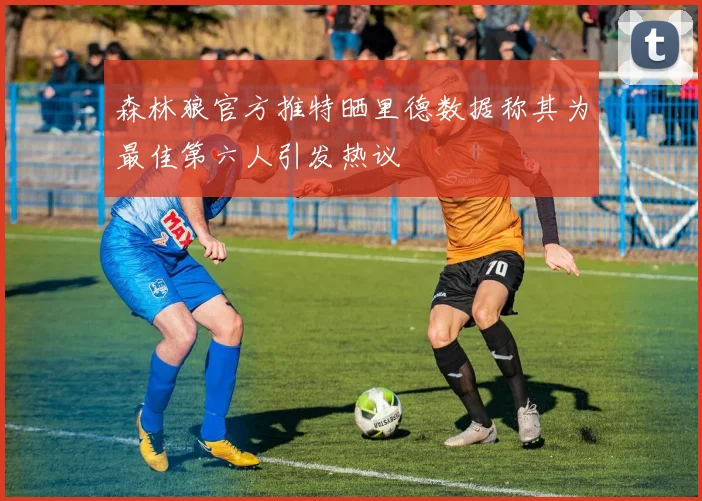 森林狼官方推特晒里德数据称其为最佳第六人引发热议