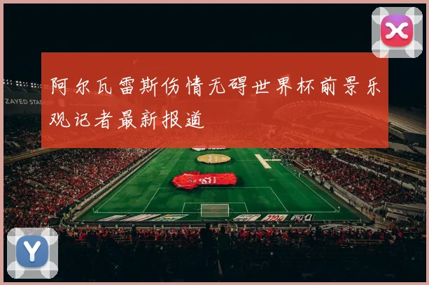 阿尔瓦雷斯伤情无碍世界杯前景乐观记者最新报道