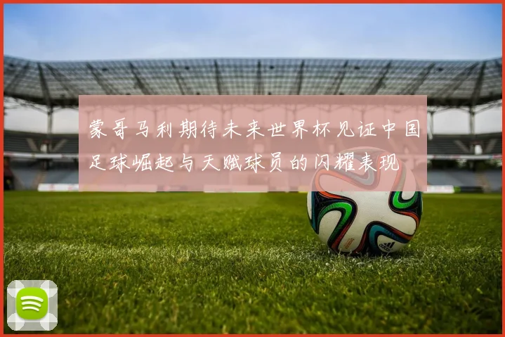 蒙哥马利期待未来世界杯见证中国足球崛起与天赋球员的闪耀表现